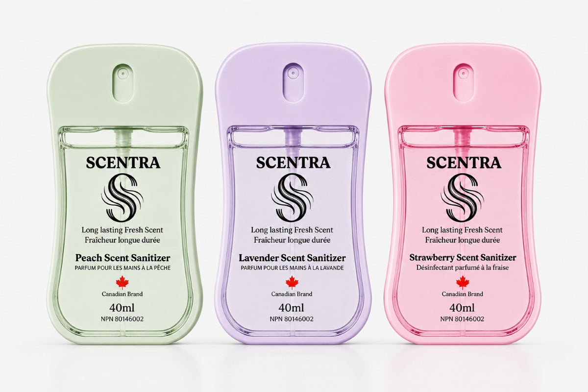 SCENTRA GRAND BUNDLE