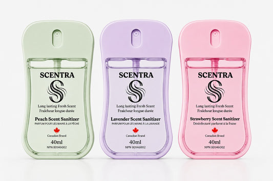SCENTRA GRAND BUNDLE